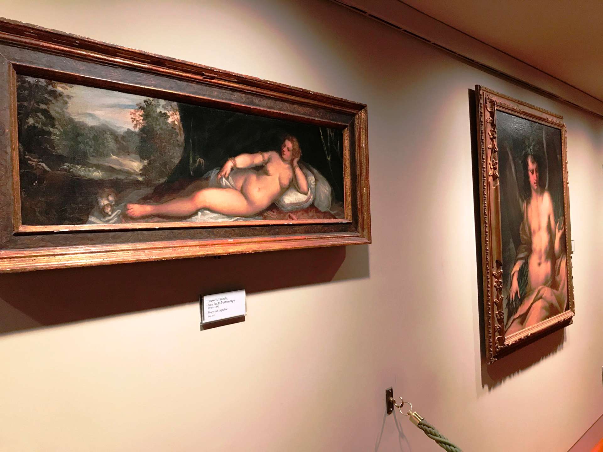 Ca' Rezzonico Museum - pinacoteca, Casanova movie location