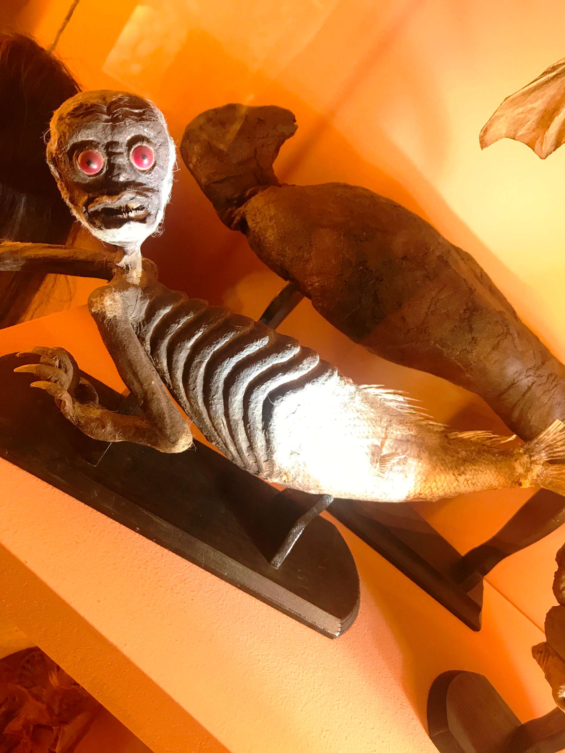 Natural History Museum - mermaid