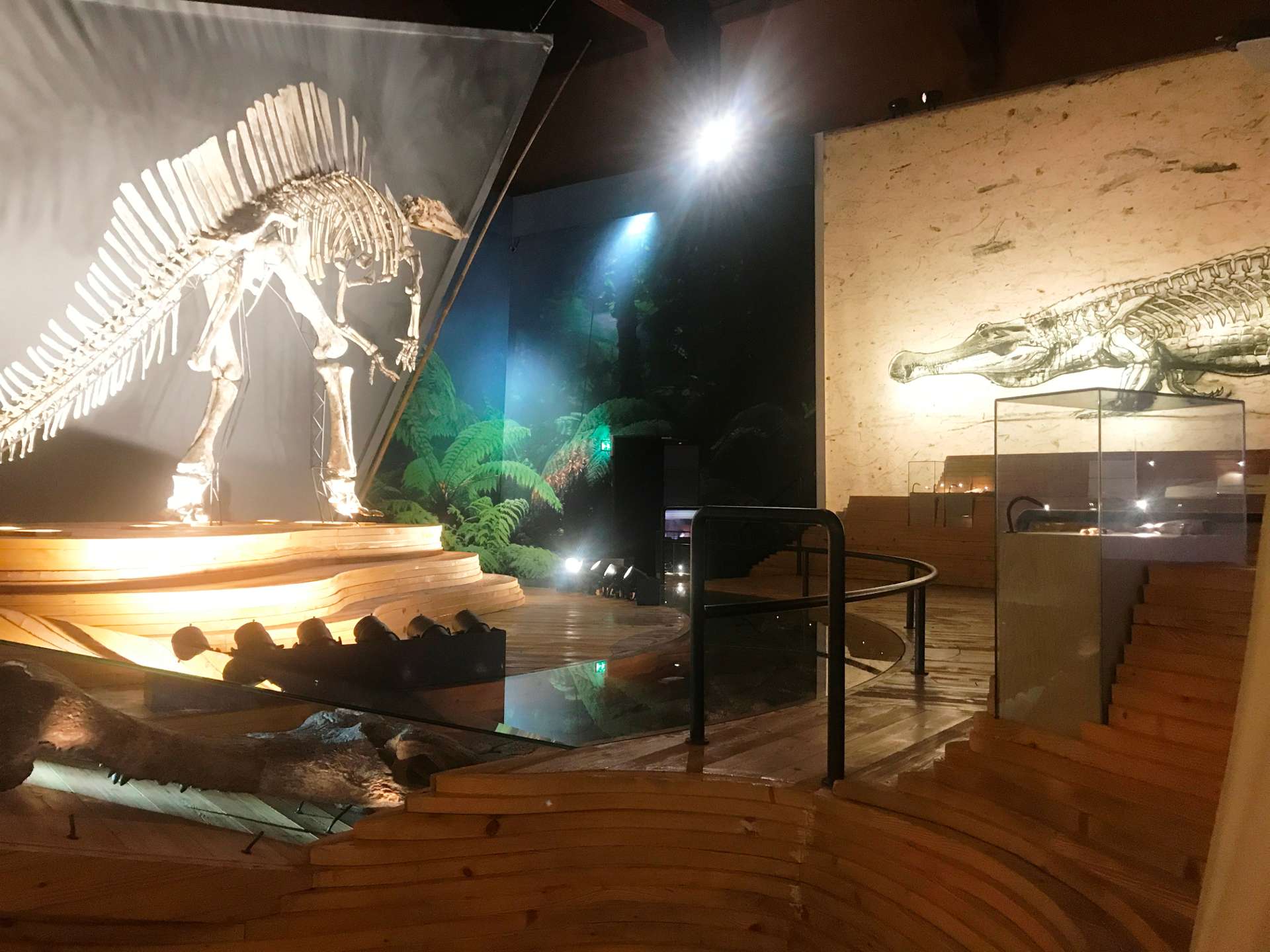 Museo di storia naturale
