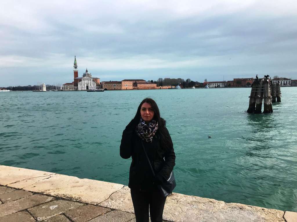 Punta della Dogana Punta della Dogana