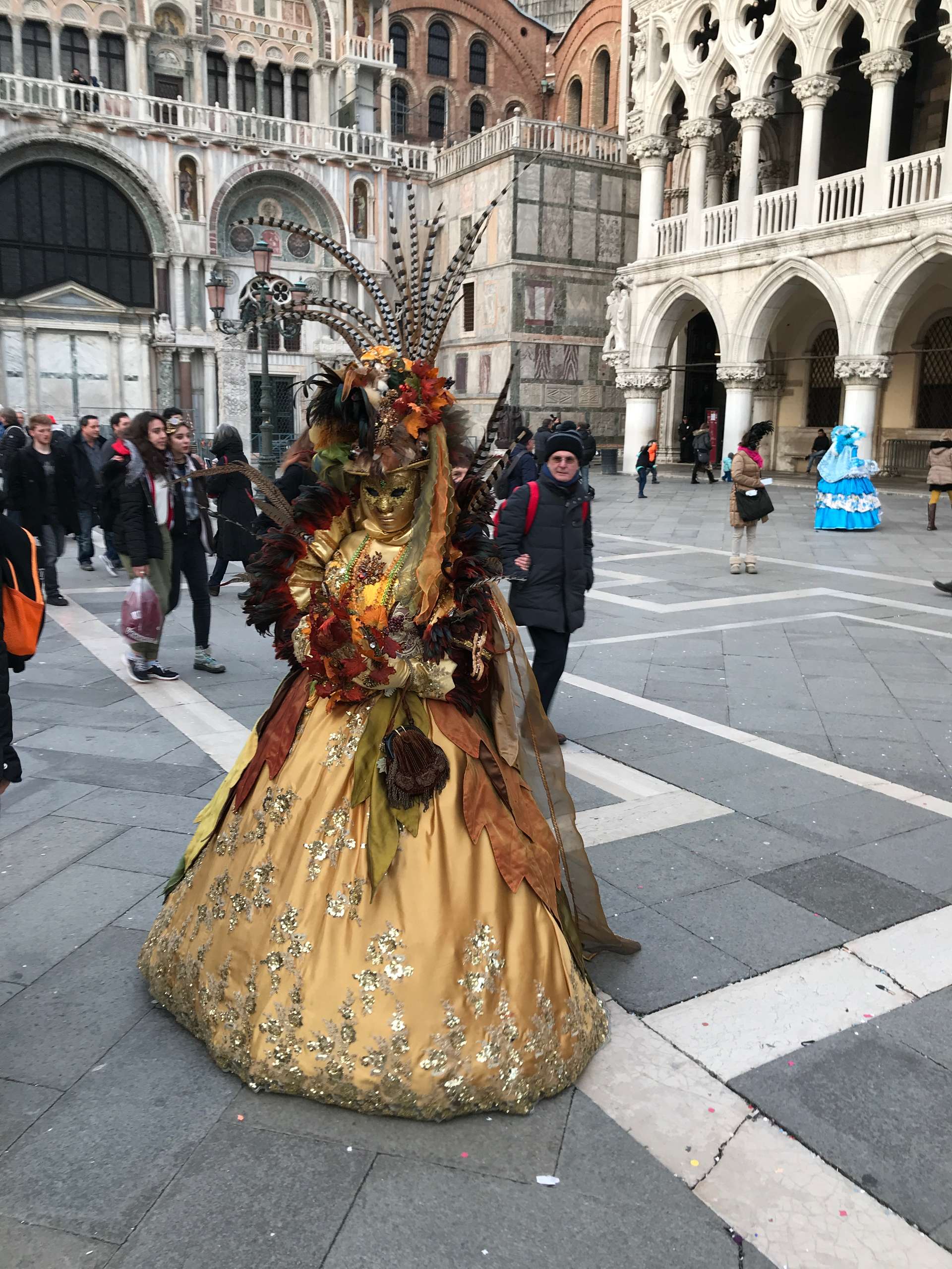Venice Carnival- fantasy costume