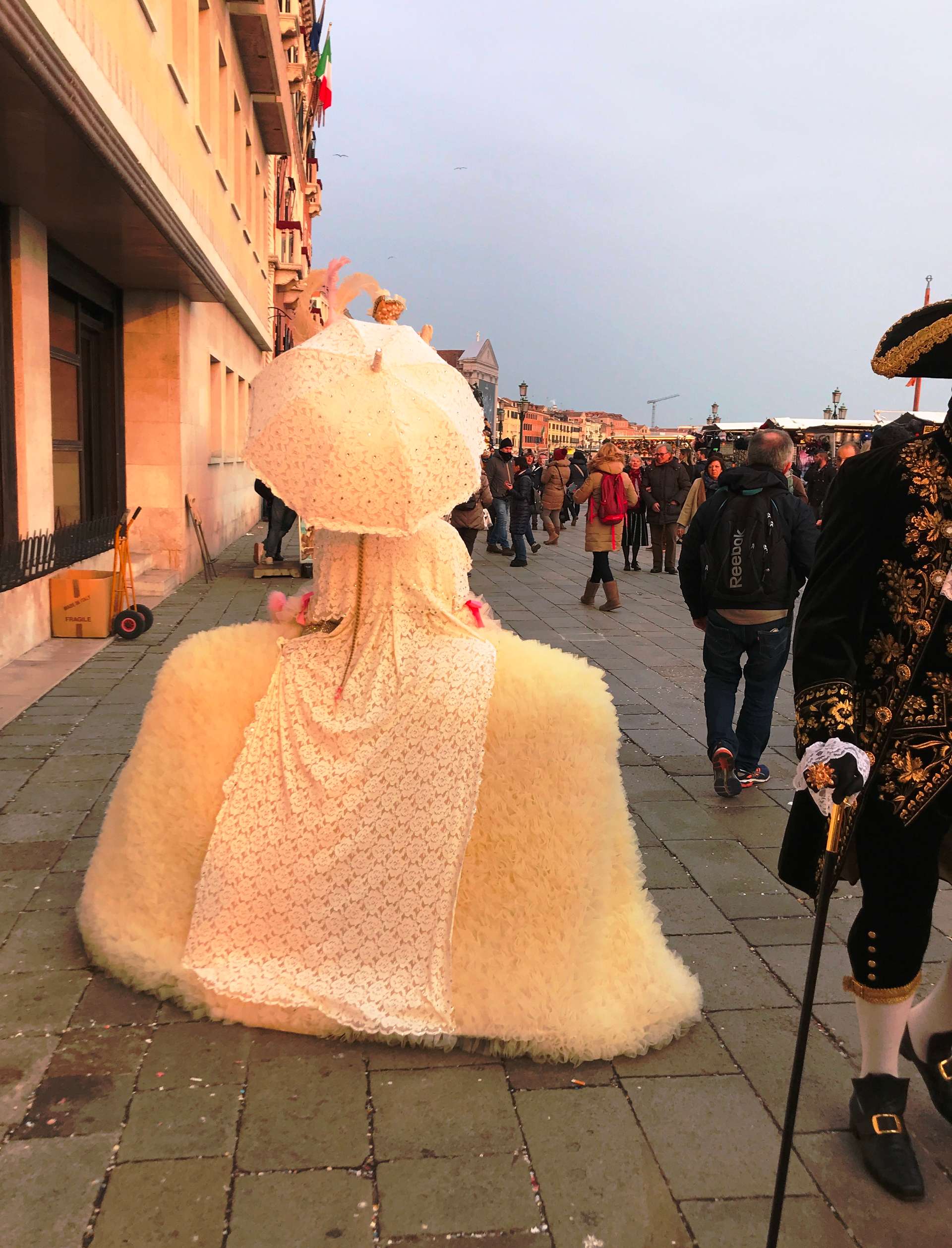 Venice Carnival -spectacular dress