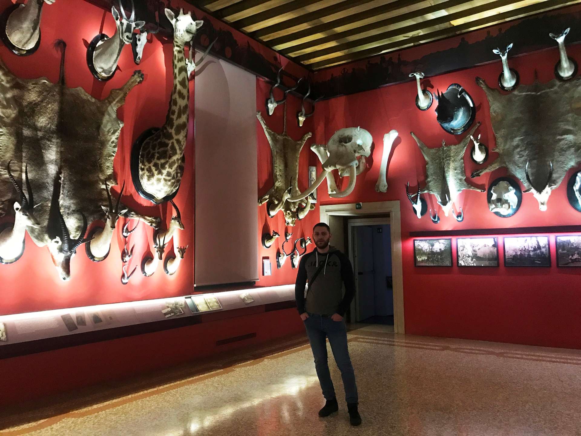 Museo di storia naturale