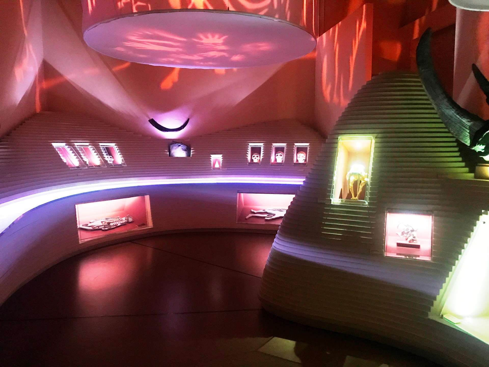 Museo di storia naturale