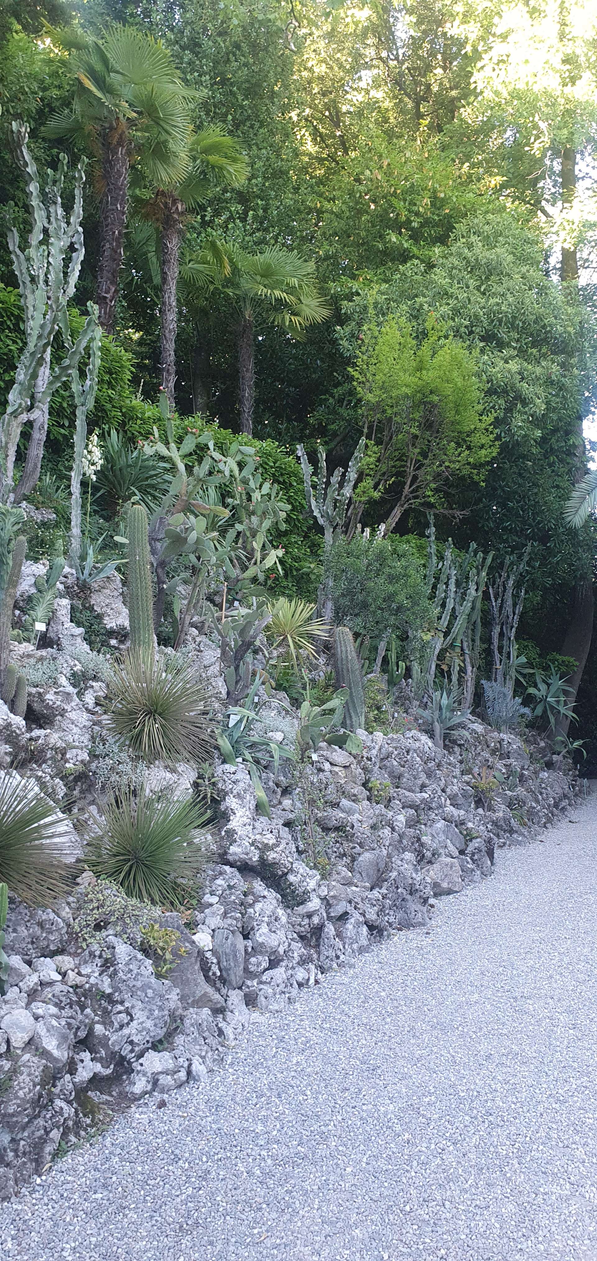 Villa Carlotta gardens