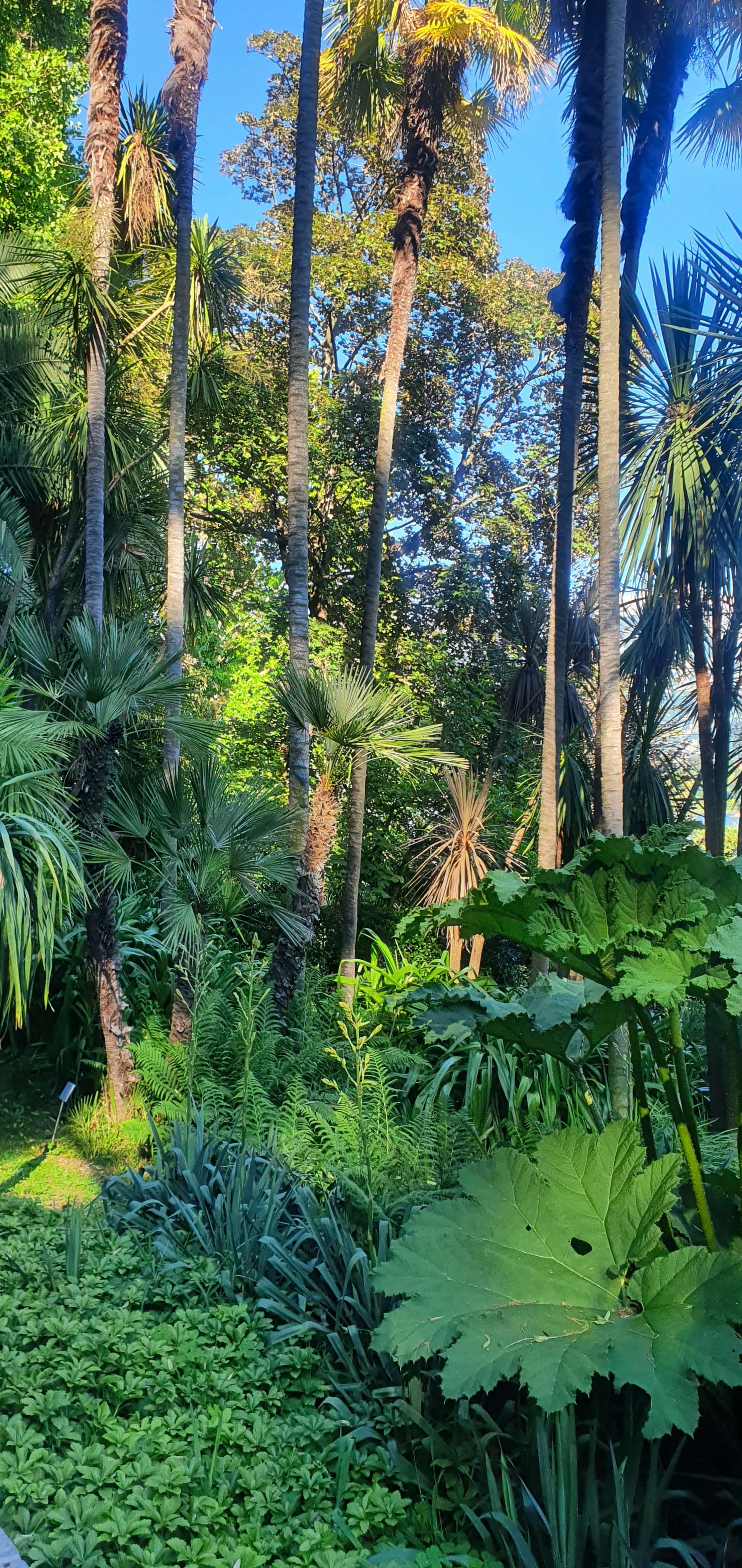 Giardino Botanico di Villa Carlotta
