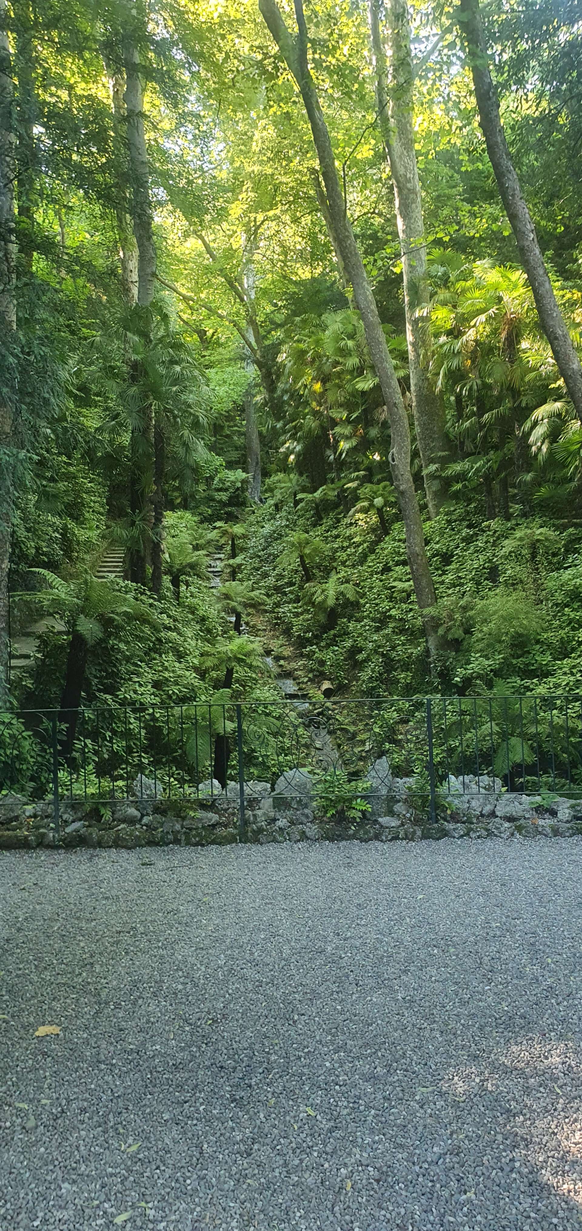 Giardino Botanico di Villa Carlotta