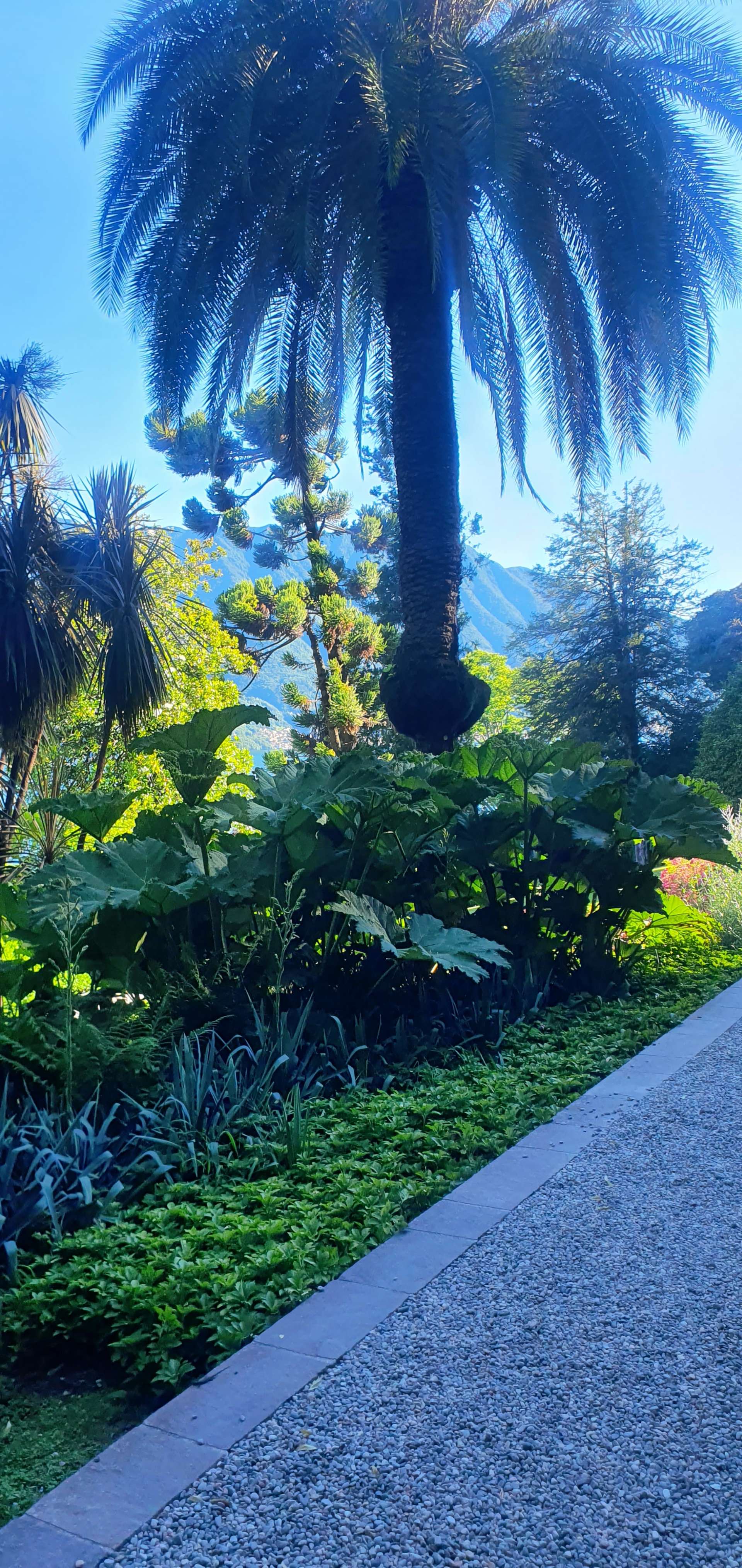 Villa Carlotta gardens
