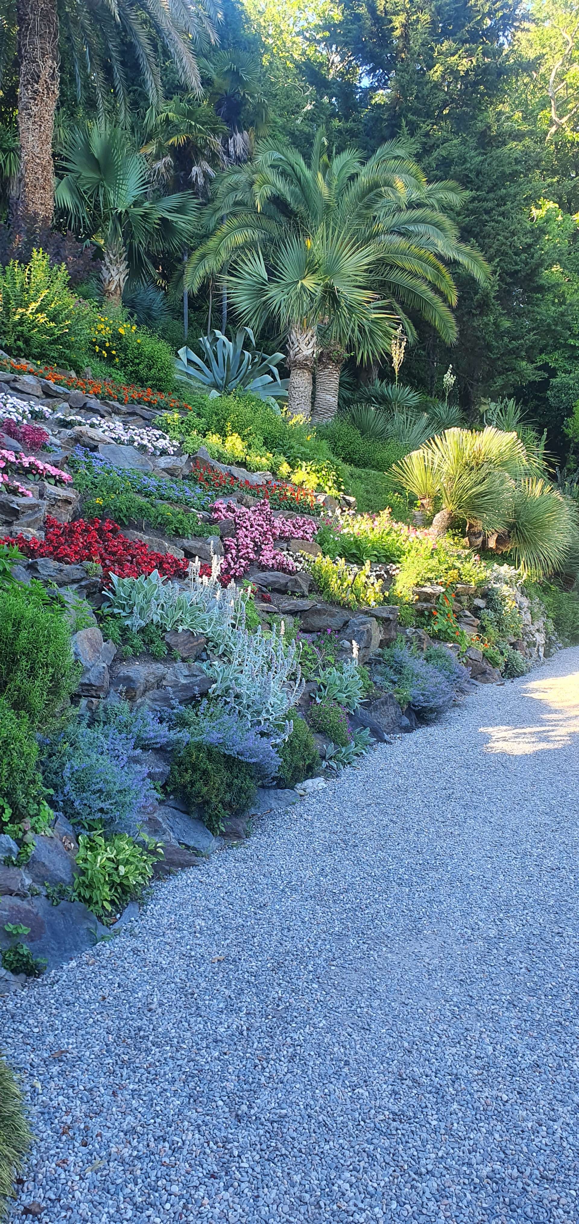 Giardino Botanico di Villa Carlotta