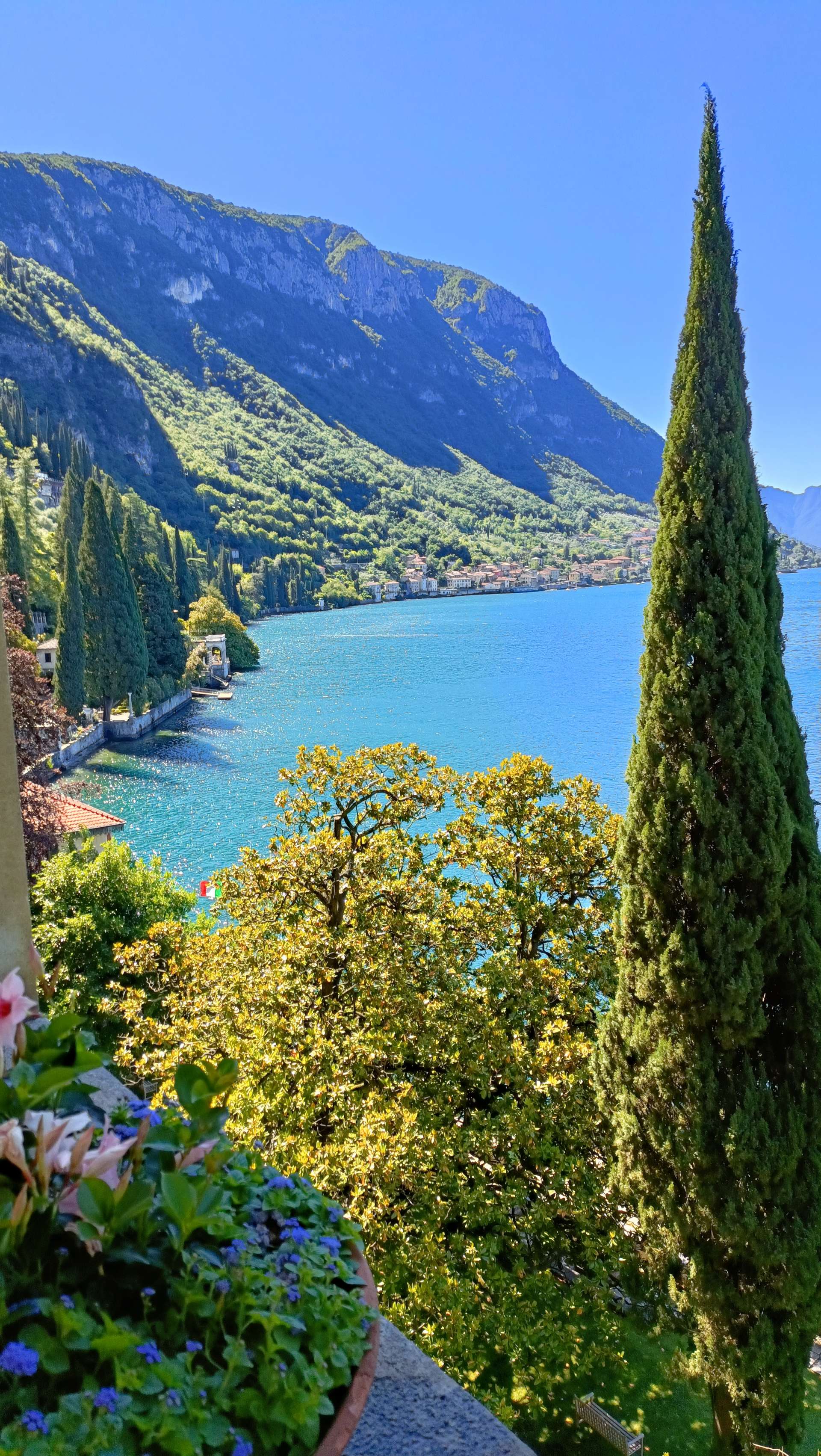 Villa Monastero Gardens