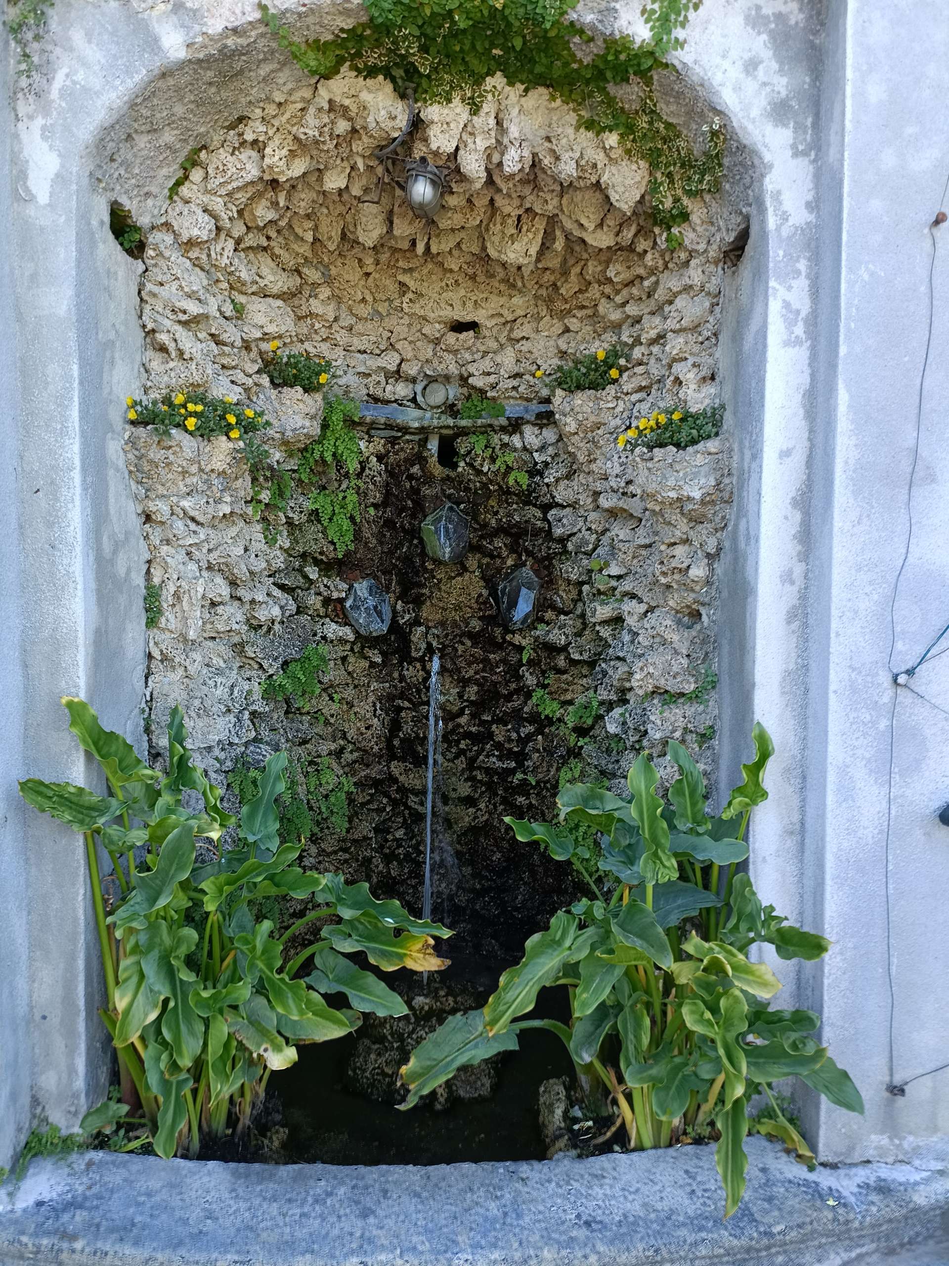 Villa Carlotta yard