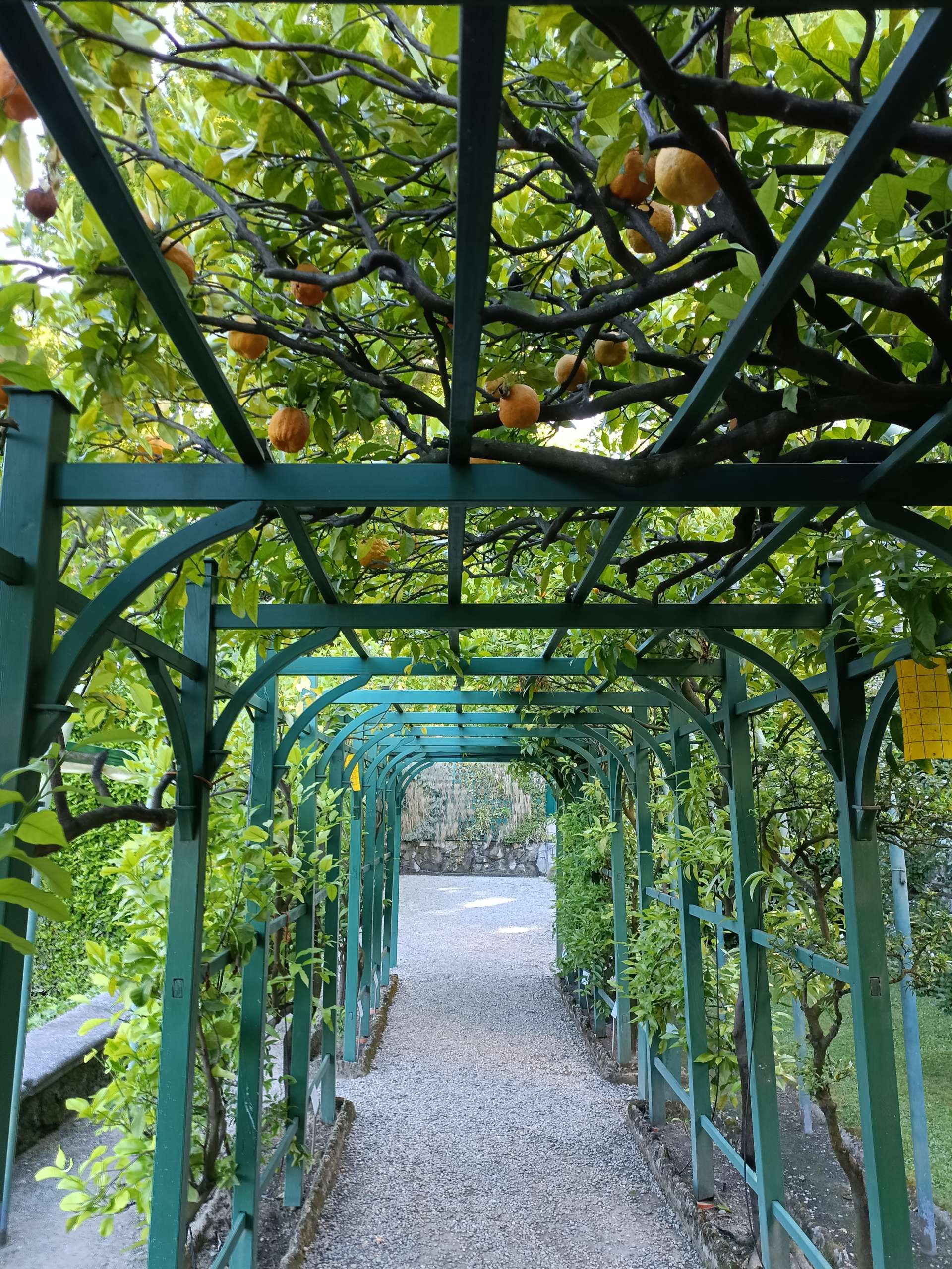 Villa Carlotta Tremezzo