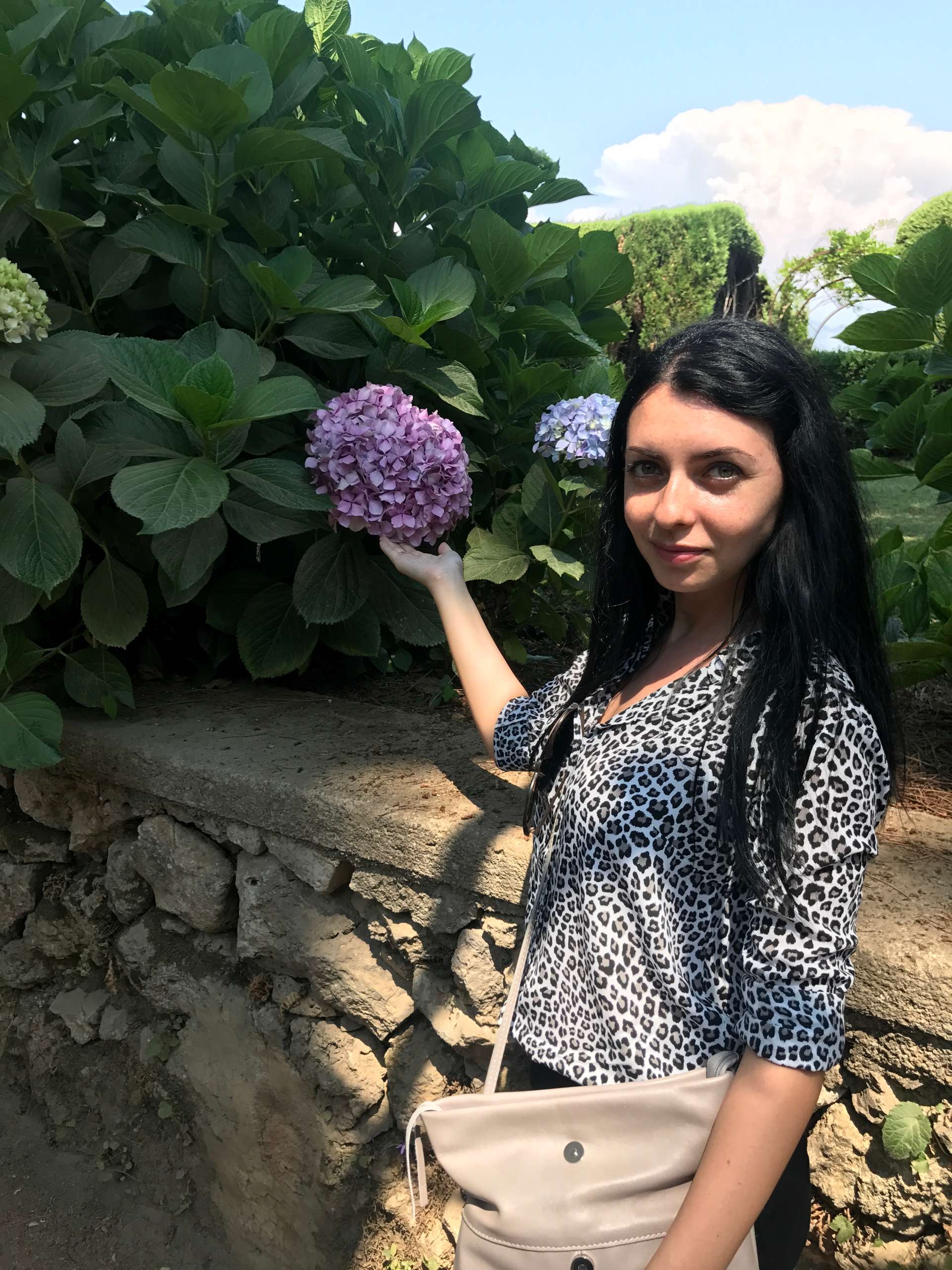 Villa Cimbrone Hydrangea flowers