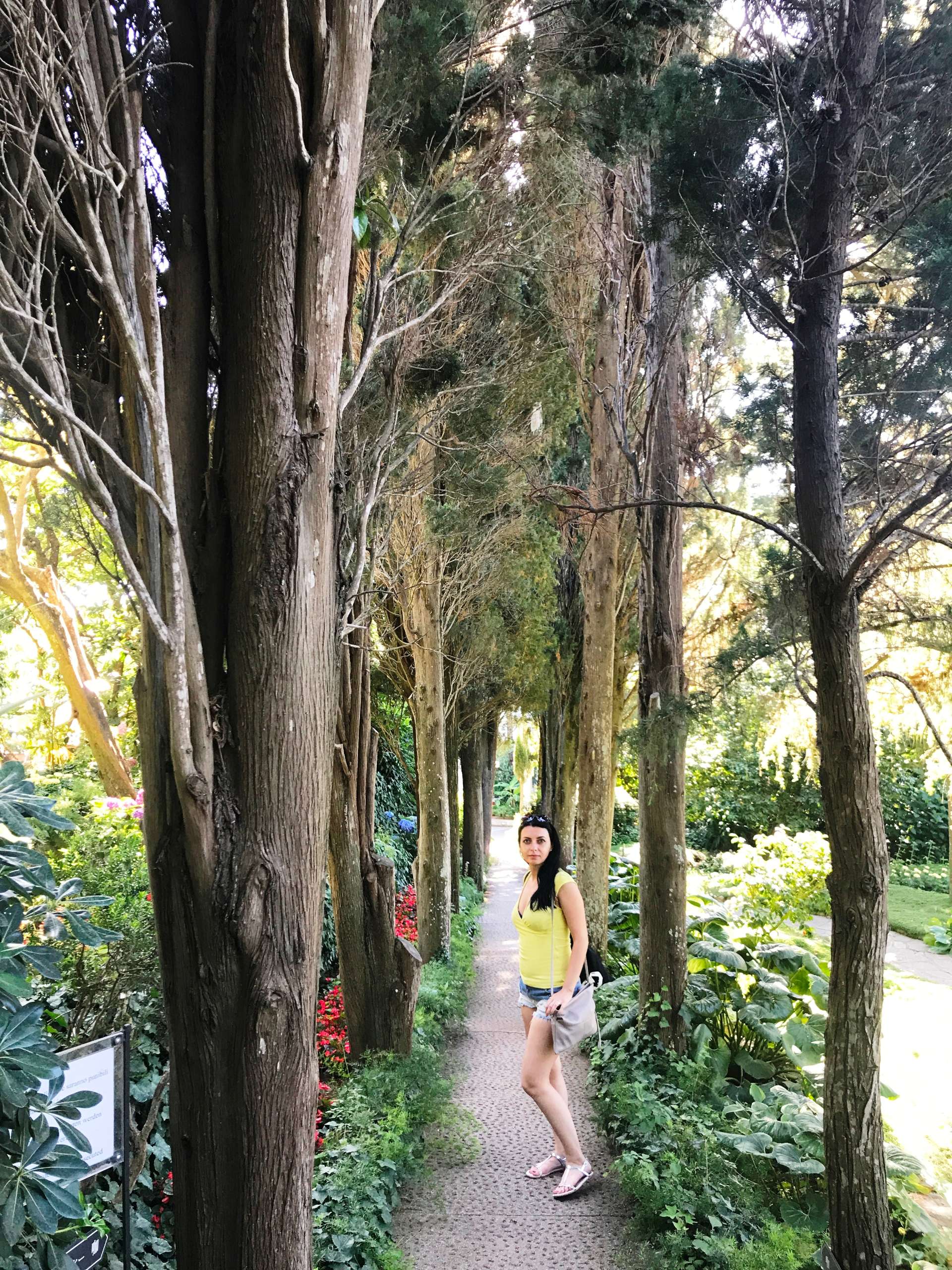 Capri Island - Anacapri - Villa San Michele's Gardens