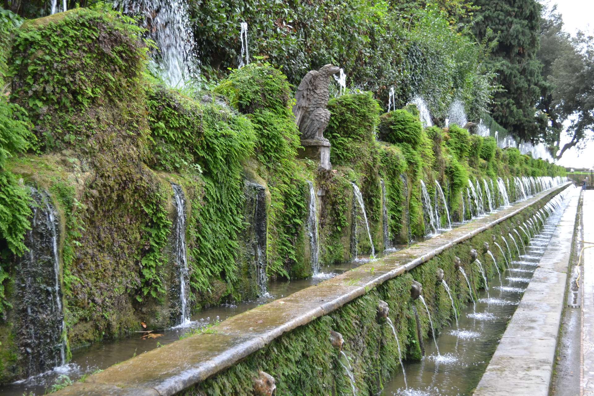 The Hundred Fountains